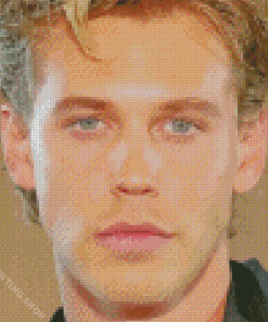 Austin Butler Diamond Paintings