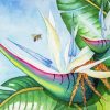 Bird Of Paradise Diamond Paintings