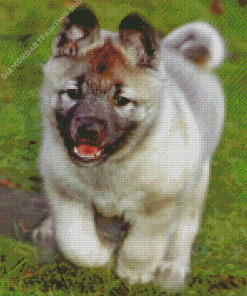 Elkhound Puppy Diamond Paintings