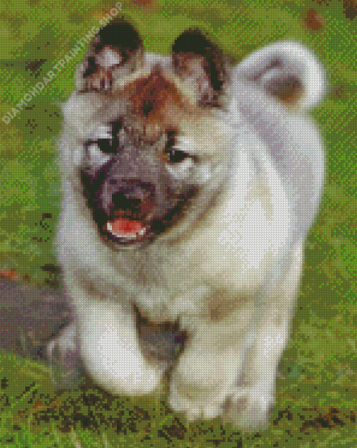 Elkhound Puppy Diamond Paintings