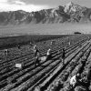 Fields By Ansel Adams Diamond Paintings