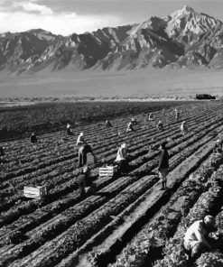 Fields By Ansel Adams Diamond Paintings