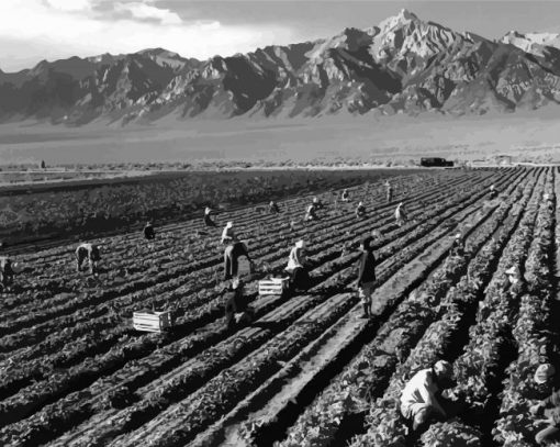 Fields By Ansel Adams Diamond Paintings