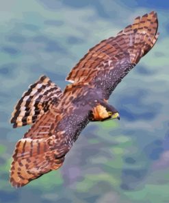 Ornate Hawk Eagle Diamond Paintings