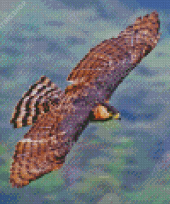 Ornate Hawk Eagle Diamond Paintings