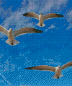 Flying Seagulls Diamond Paintings