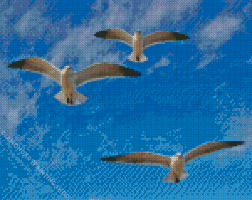 Flying Seagulls Diamond Paintings