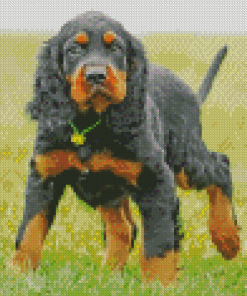 Gordon Setter Animal Diamond Paintings