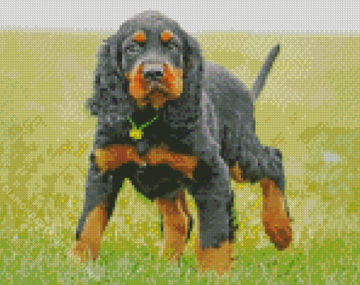 Gordon Setter Animal Diamond Paintings