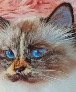 Little Burma Cat Diamond Paintings