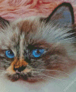 Little Burma Cat Diamond Paintings