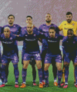 ACF Fiorentina Team Diamond Paintings