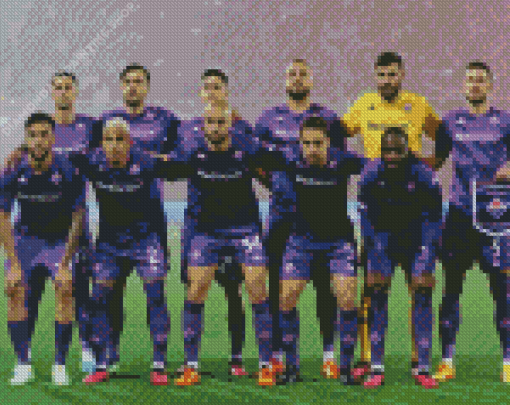 ACF Fiorentina Team Diamond Paintings