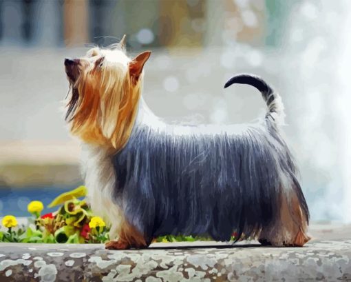 Silky Terrier Diamond Paintings