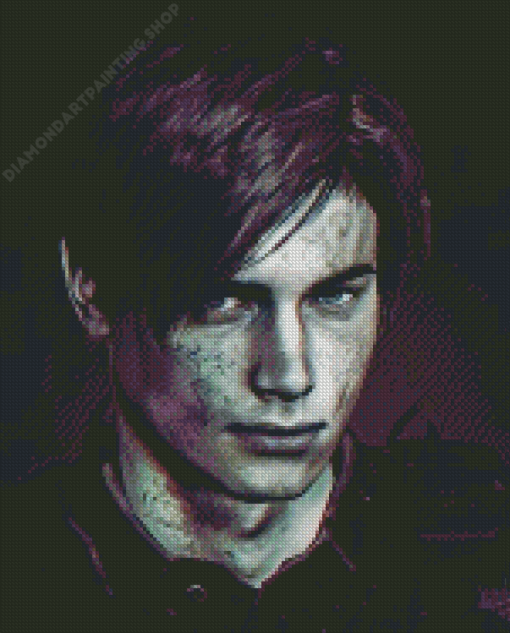 Leon S Kennedy Diamond Paintings