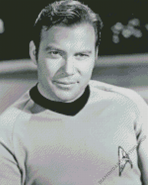 James T Kirk Diamond Paintings