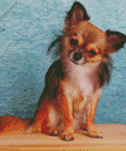 Brown Chihuahua Diamond Paintings