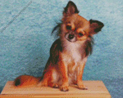 Brown Chihuahua Diamond Paintings