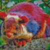 Colorful Squirrel Diamond Paintings