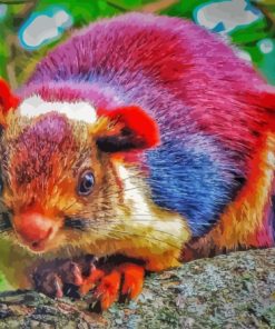 Colorful Squirrel Diamond Paintings