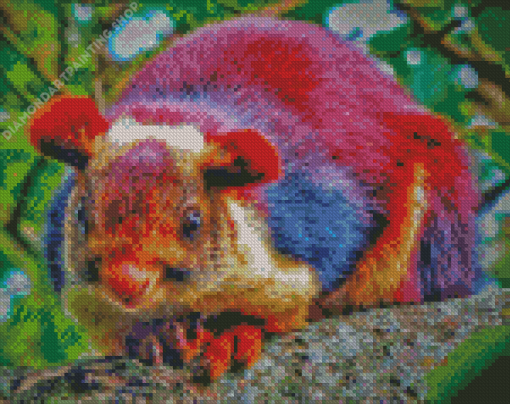 Colorful Squirrel Diamond Paintings