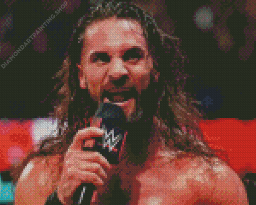 Seth Rollins Diamond Paintings