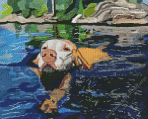 Dog On A Lake Diamond Paintings