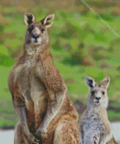 Eastern Grey Kangaroos Diamond Paintings