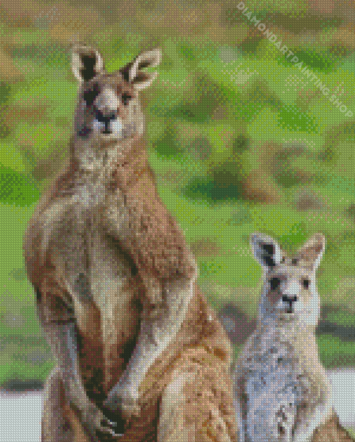 Eastern Grey Kangaroos Diamond Paintings