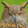 Eurasian Eagle Owl Diamond Paintings