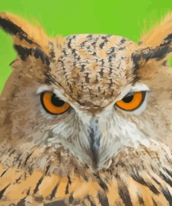 Eurasian Eagle Owl Diamond Paintings