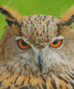 Eurasian Eagle Owl Diamond Paintings