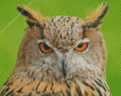 Eurasian Eagle Owl Diamond Paintings