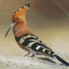 Hoopoe Bird Animal Diamond Paintings