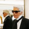 Karl Lagerfeld Diamond Paintings