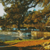 Lady Bird Lake Diamond Paintings