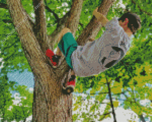 Boy Tree Climb Diamond Paintings