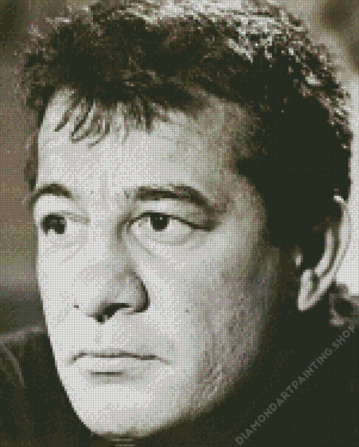 Rocky Graziano Face Diamond Paintings