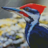 Pileated Woodpecker Diamond Paintings