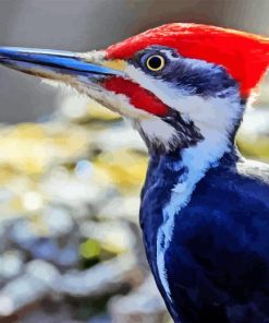 Pileated Woodpecker Diamond Paintings