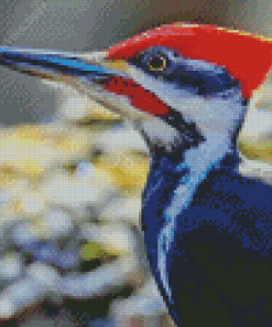 Pileated Woodpecker Diamond Paintings