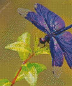 Dragonfly Wings Diamond Paintings