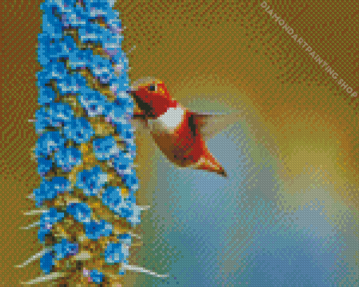 Rufous Hummingbird Diamond Paintings