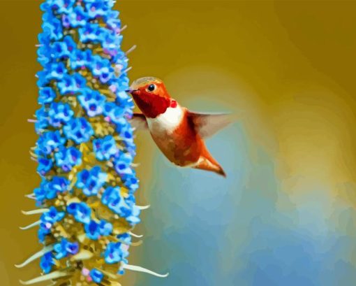 Rufous Hummingbird Diamond Paintings