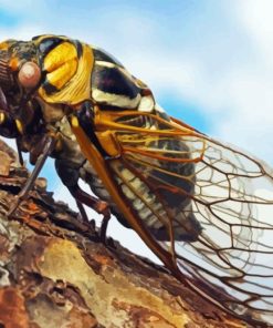 Yellow Cicadas Diamond Paintings