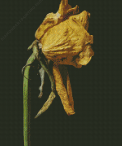 Yellow Dead Flower Diamond Paintings