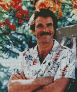 Young Tom Selleck Diamond Paintings