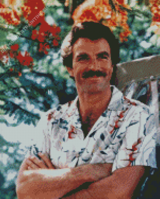 Young Tom Selleck Diamond Paintings