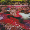 Cano Cristales Colombia Diamond Paintings