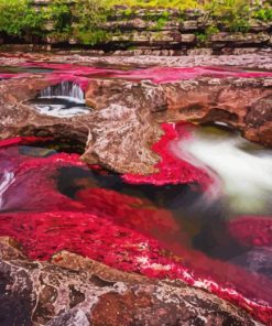 Cano Cristales Colombia Diamond Paintings